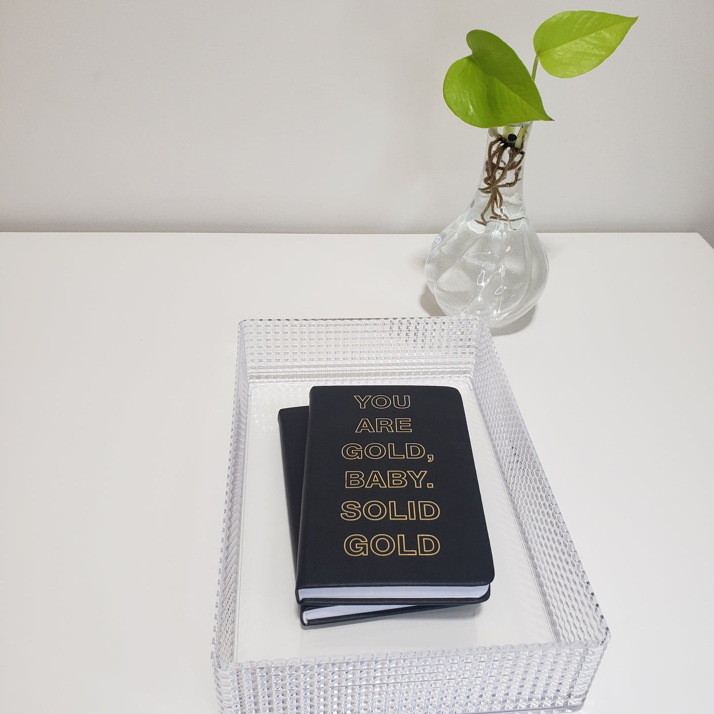 You are gold baby notebook