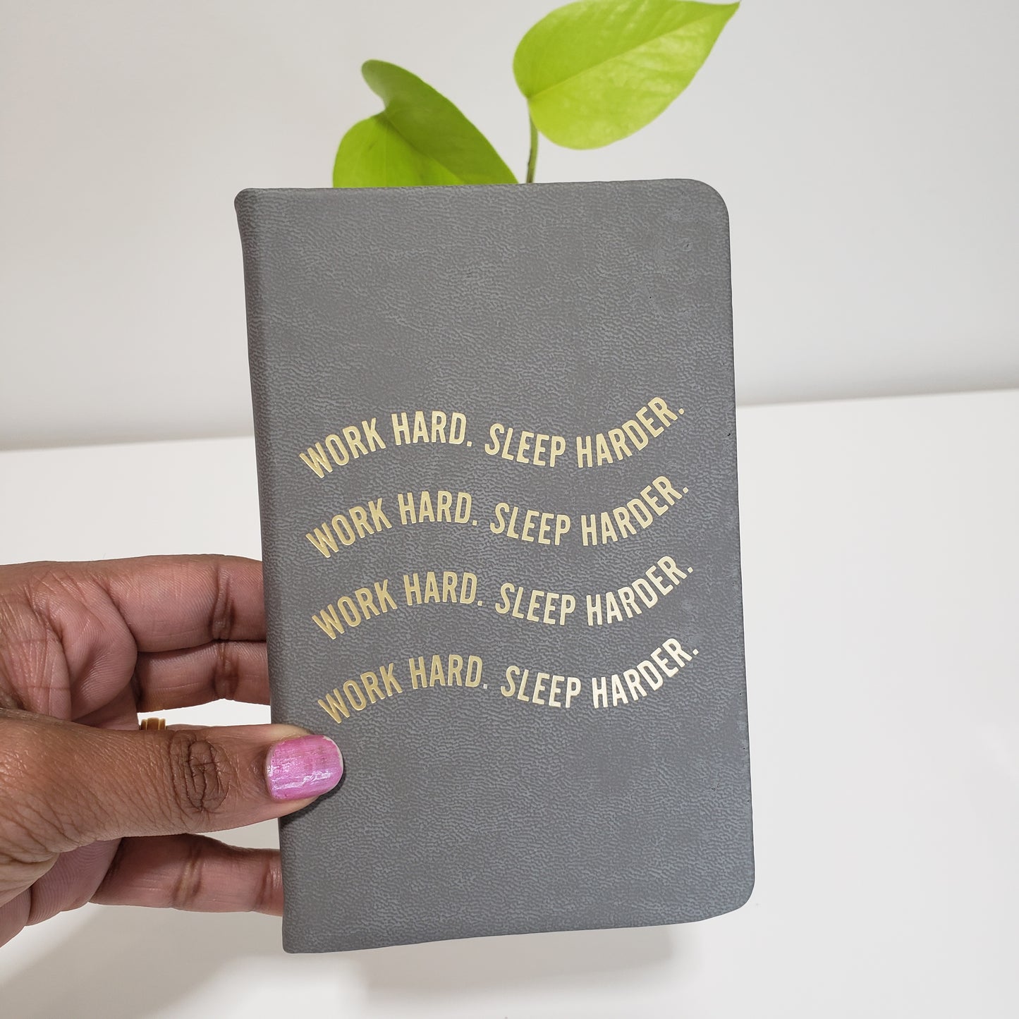 Work hard sleep harder notebook